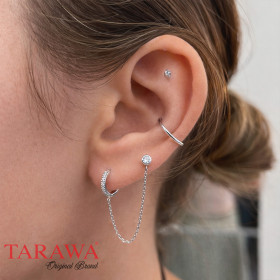 Composition d'oreille argenté