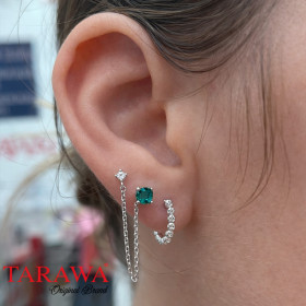 Composition d'oreille argenté