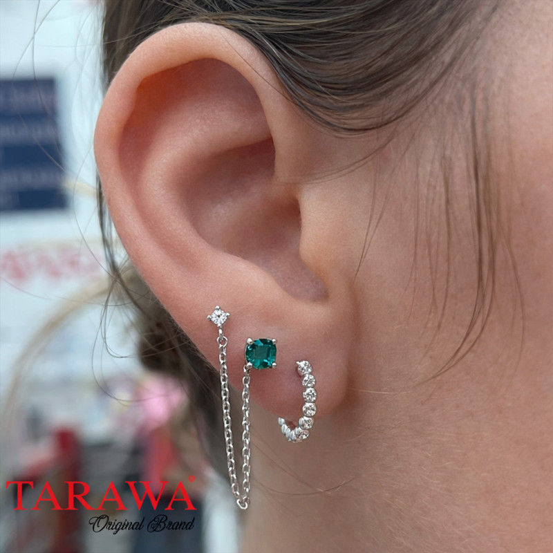 Composition d'oreille argenté