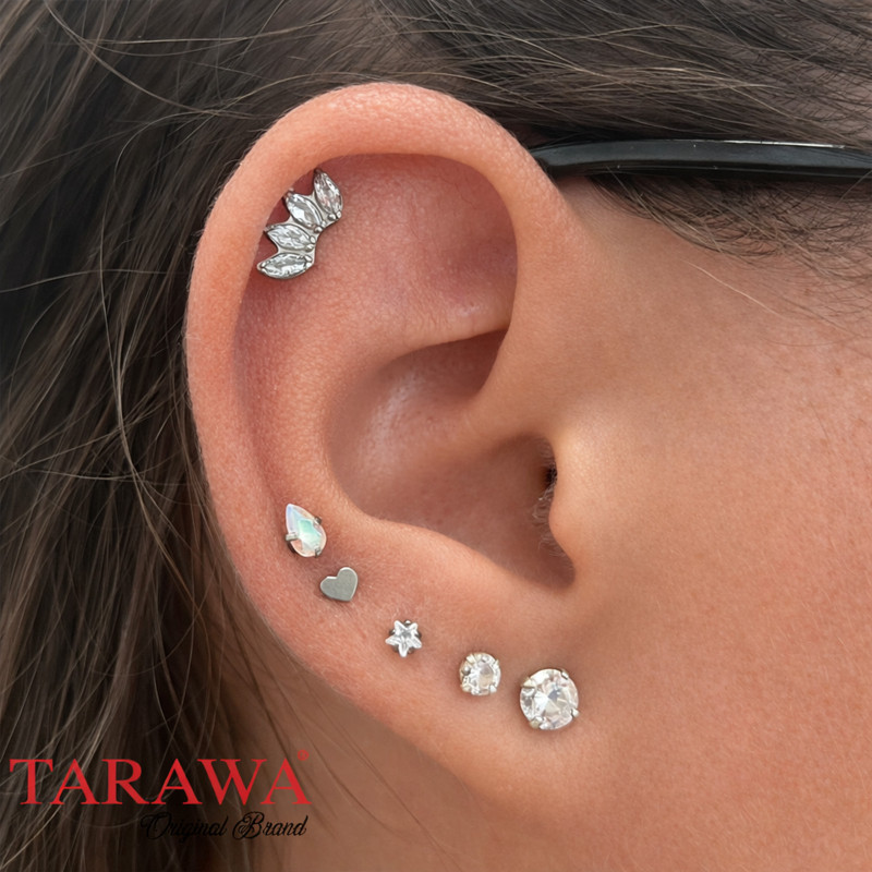 Composition d'oreille argenté