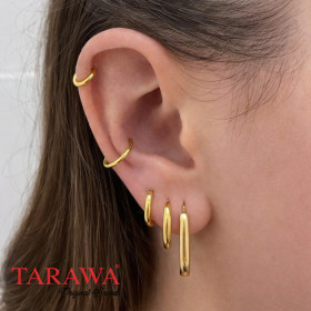 Composition doré anneaux...