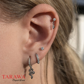 Composition argenté