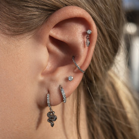 Composition d'oreille argenté