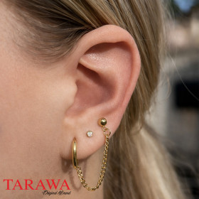 Composition lobes d'oreille...