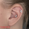 Piercing labret feuillage en titane