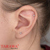 Piercing labret Anodisé titane doré - Tarawa piercing