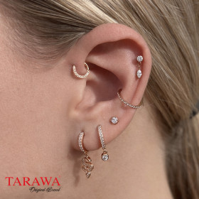 Composition d'oreille doré