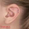 Piercing acier noir pour le labret hélix ou tragus - Tarawa.com