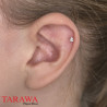 Piercing de labret doré en acier zirconium coeur sur Tarawa.com