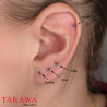 Piercing Oreille Acier chirurgical cristal - Tarawa.com