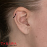 Piercing Anneau segment en 1.2mm - Piercing Tarawa.com