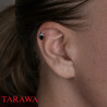 Piercing oreille tragus hélix Fuck - Piercing Tarawa