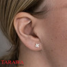 Boucles d'Oreilles en Argent 925 et Zirconium - Design Classique Éclatant