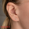 Boucles d'oreilles étoile CZ plaqué or