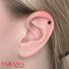 faux piercing aimenté pointe titane bleu - Tarawa faux piercing