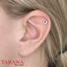Faux Piercing magnétique As de pique - Faux piercing Tarawa