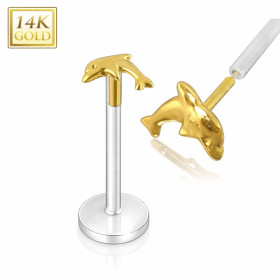 Piercing labret dauphin or 14 carat tige bio-plast