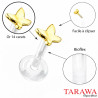 Piercing labret papillon en or | Tarawa.com