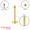Piercing labret titane pointe doré spike  3 mm - Tarawa piercing