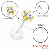 Piercing labret bioflex griffe en Or étoile blanche - Tarawa piercing