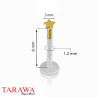 Piercing labret bio-plast étoile or 14 carat