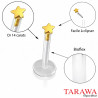 Piercing labret bio-plast étoile or 14 carat