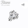 Bille microdermale en titane avec étoile en zirconium – 1,2 mm