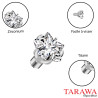 Bille microdermale en titane avec étoile zirconium 4 mm – 1,6 mm de diamètre