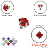 Piercing microdermal cristal carré - Tarawa piercing