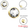Microdermal disque doré cristal rond 5mm