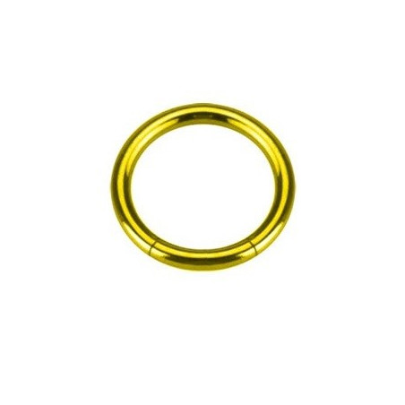Piercing Anneau segment gros diamètre pour prince albert en acier chirurgical de couleur or