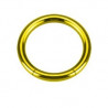 Piercing Anneau segment gros diamètre pour prince albert en acier chirurgical de couleur or