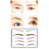 Tatouages temporaires Sourcils 02