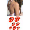 Tatouage autocollant Rolling stone