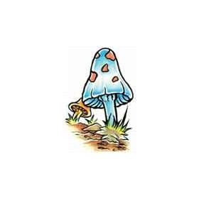 Tatouage Champignons