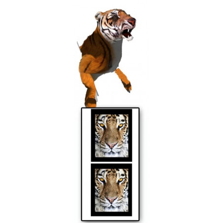 Tatouages temporaires Augmented reality Tigre
