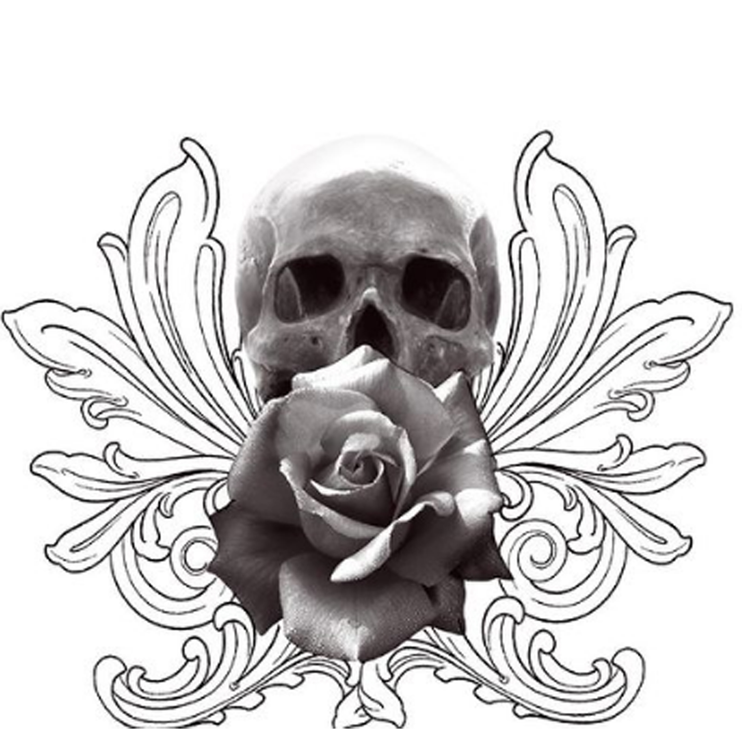 tattoo flash skull et rose réaliste par lily studio Tarawa