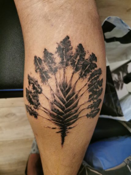 tatouage arbre du voyageur par Saumon-cru Tarawa Cap d'Agde
